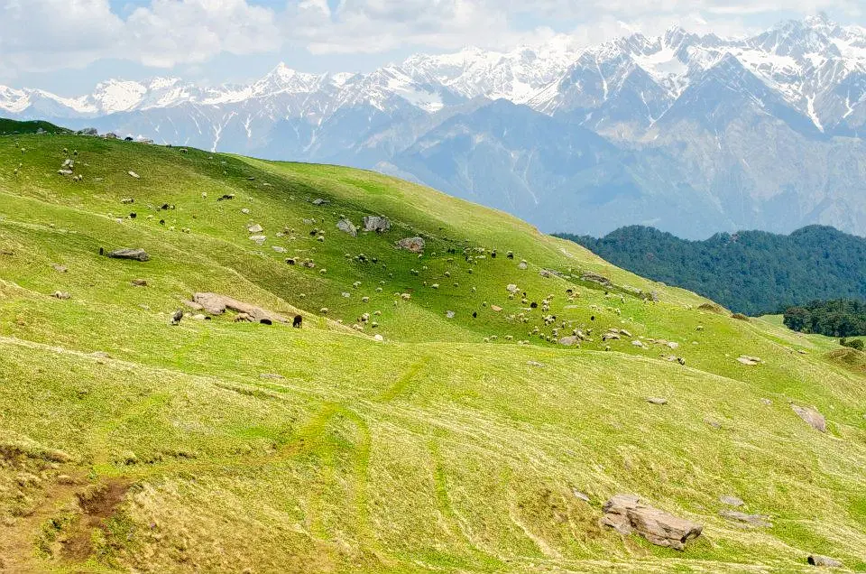 Photo from Dakshayani Dhawan's trip