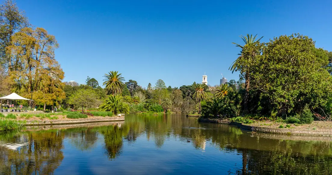 Punting on the Ornamental lake