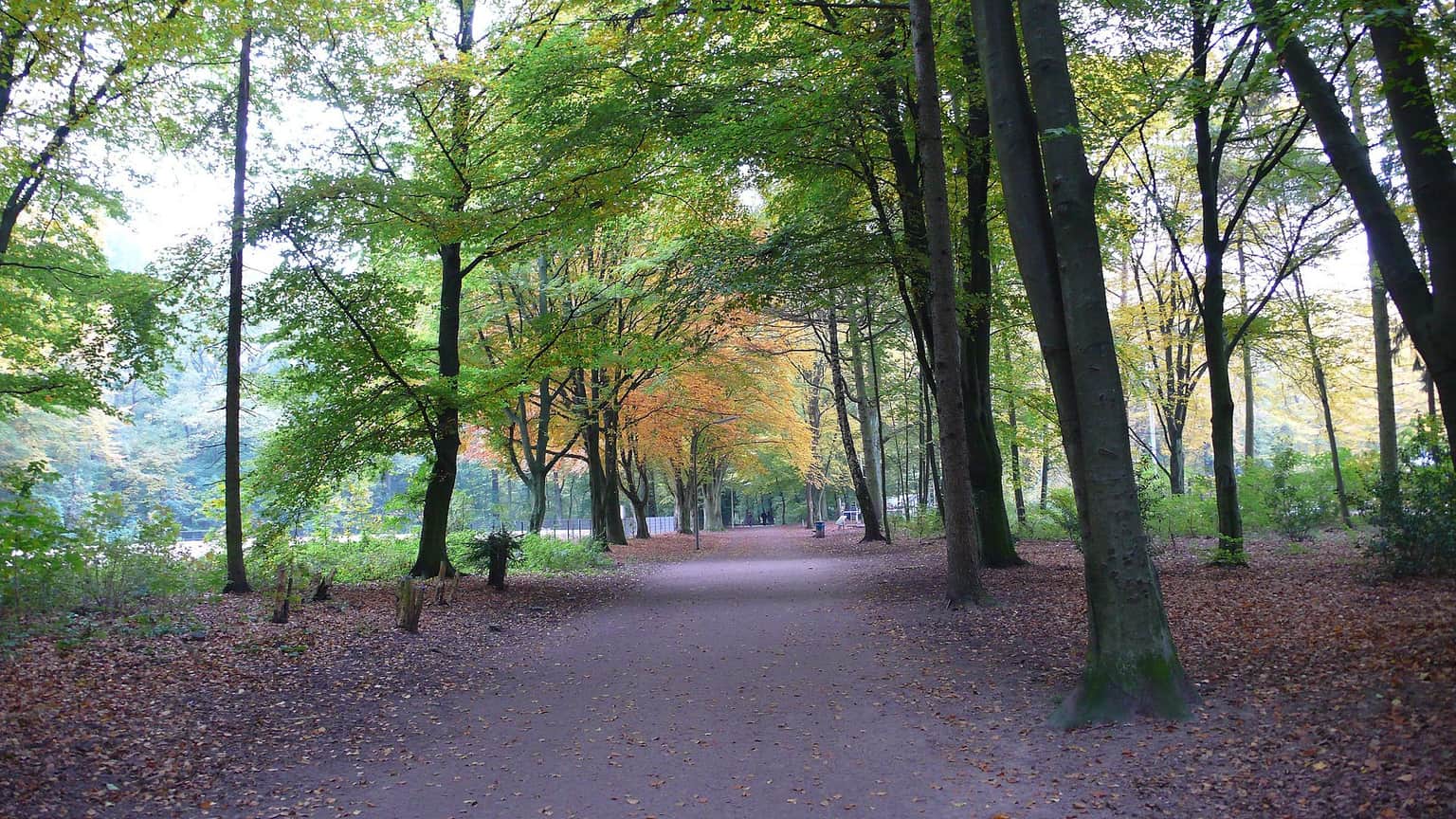 Stadtpark, <em>Hamburg</em>