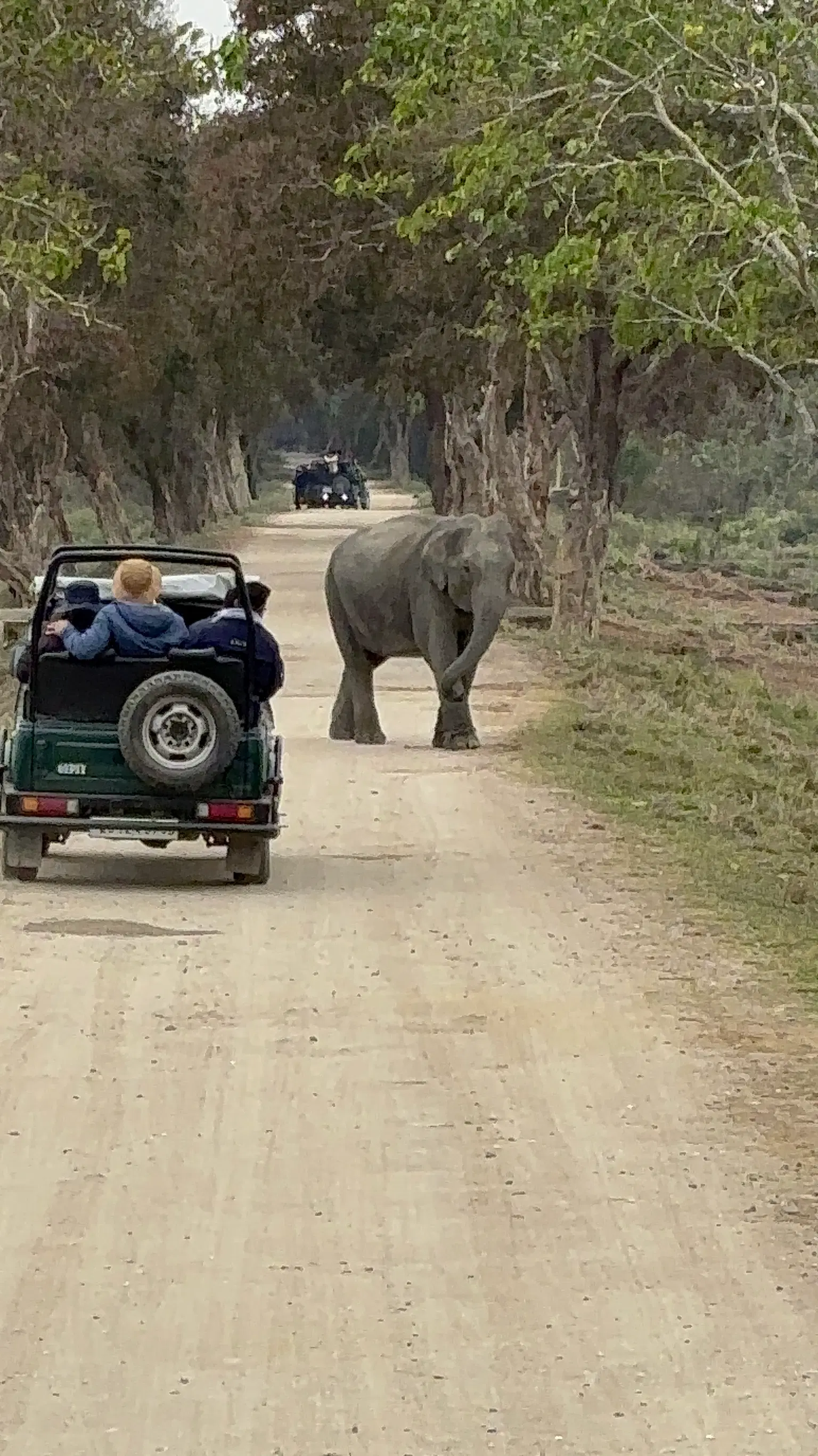 Photo from Shaily Aditya's trip