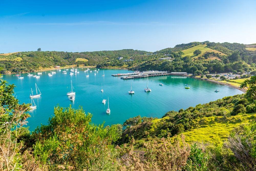 Waiheke Island Wineries' Tour