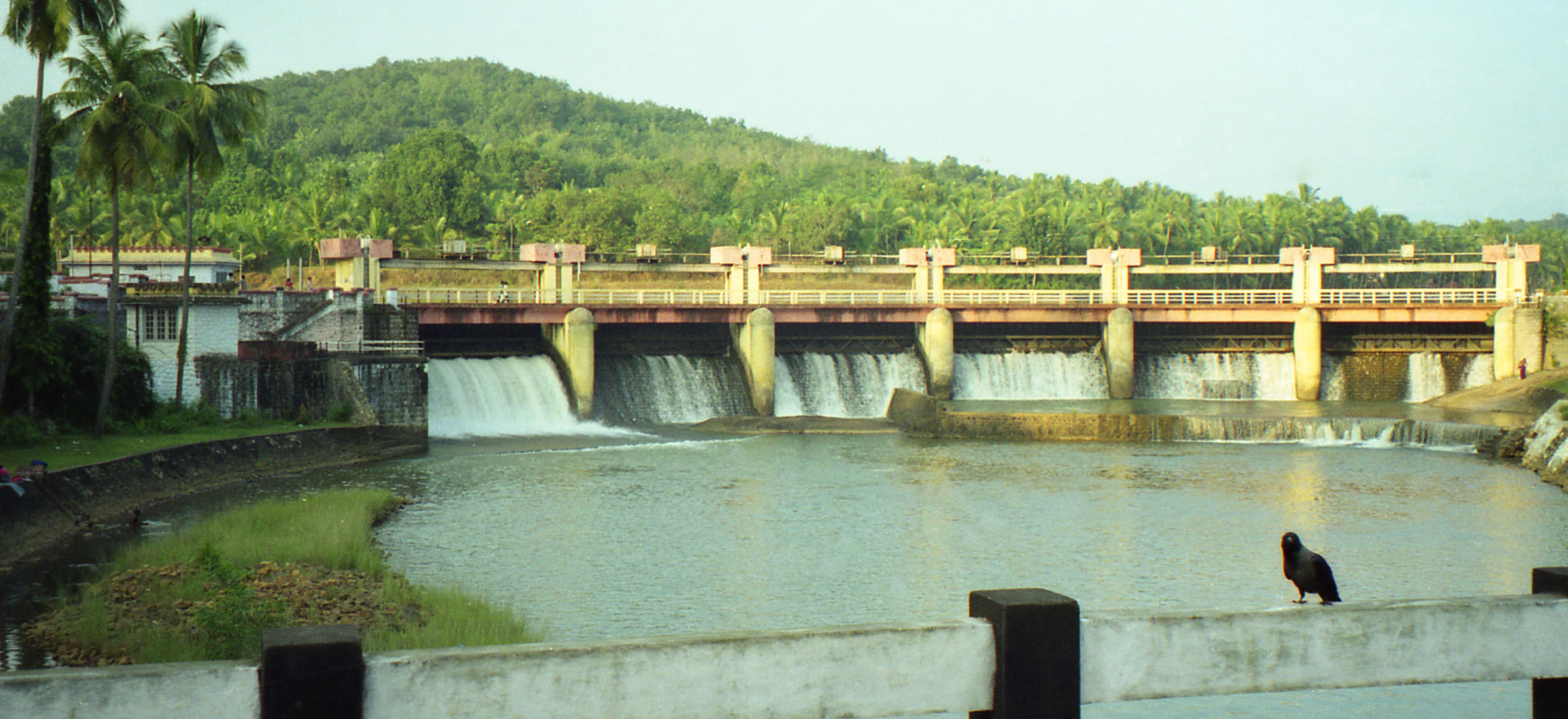 Neyyar Dam Overview