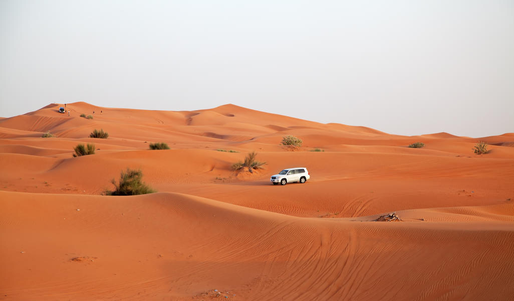 Explore the Arabian desert during desert safari