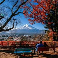 offbeat-wonders-of-japan