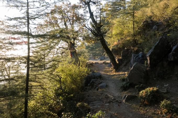 Embark on a 4-hour guided trek through forest trails to Guna Devi Temple