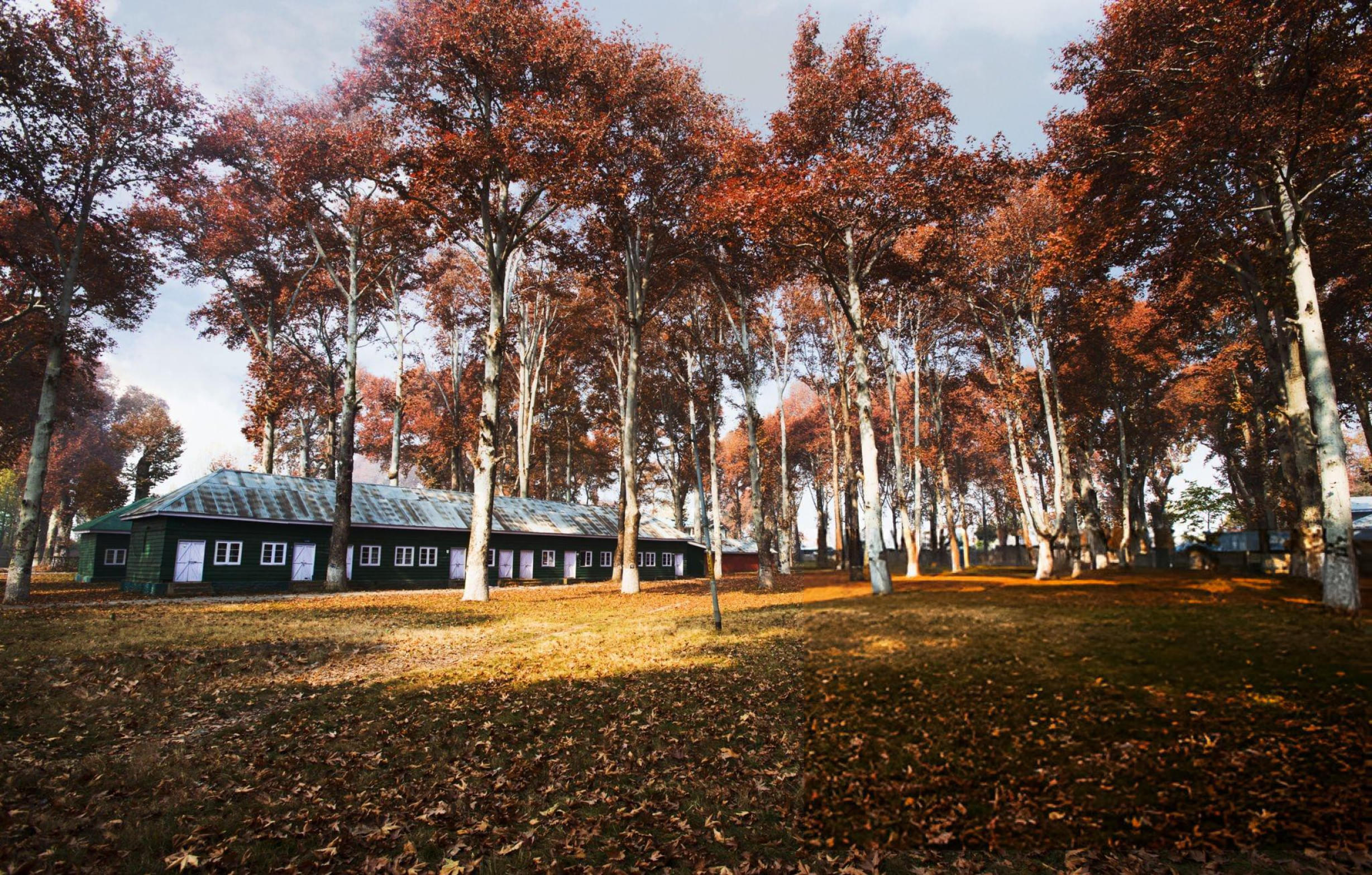 Naseem Bagh  Overview