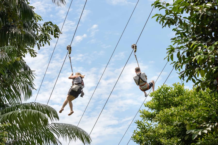 Zipline Singapore Image