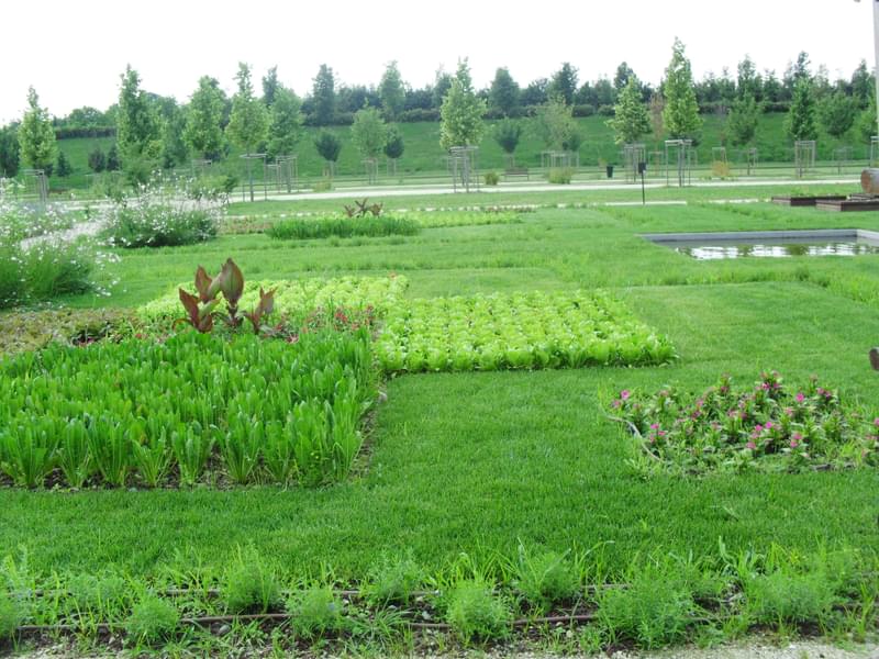 Venaria Reale Gardens