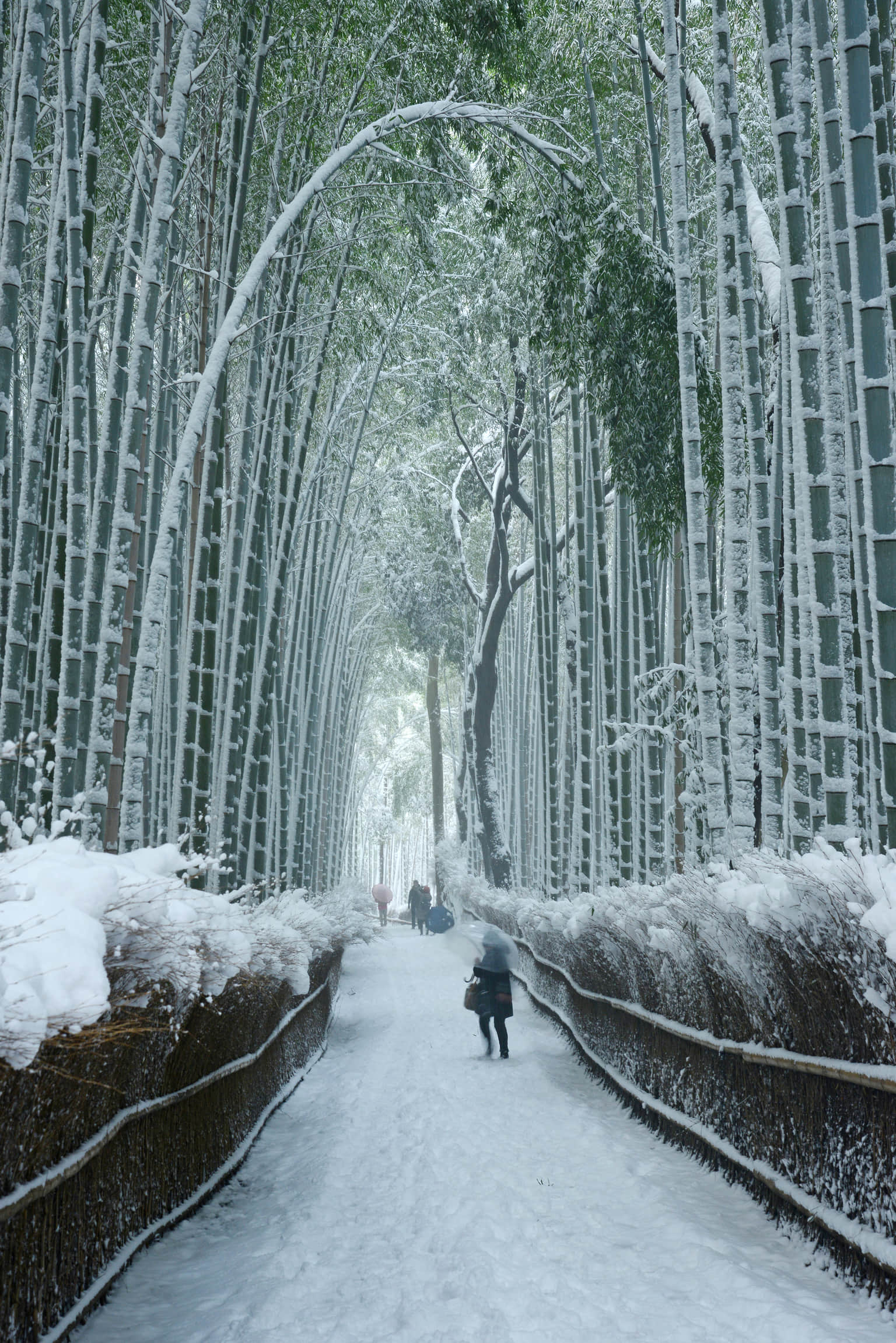 <em>Japan</em> Tour Packages From Bhopal