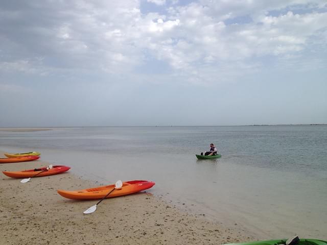 Kayaking at Mangrove Beach