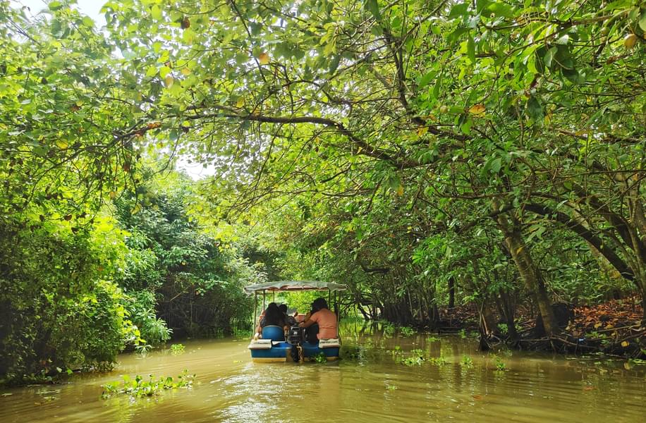 Sunrise Boating at Poovar Island Image