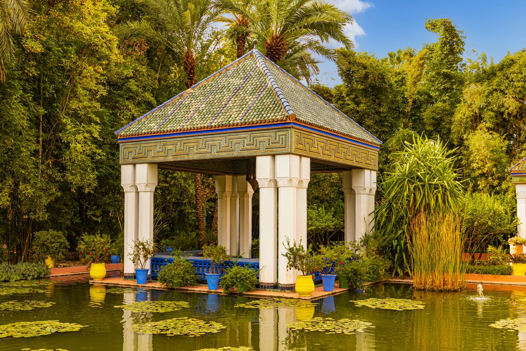  Stroll serenely through the enchanting Jardin Majorelle and revel in its breathtaking beauty