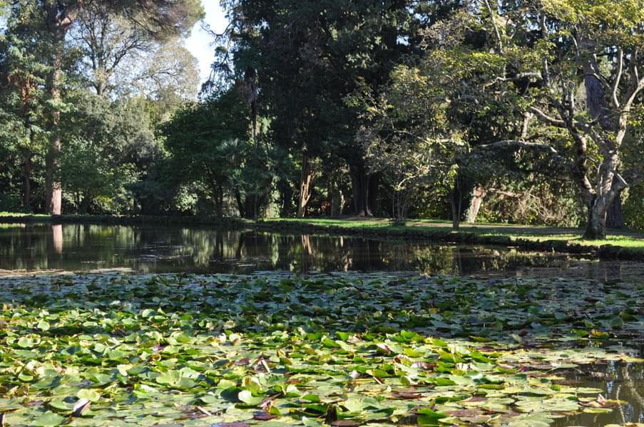 The English Garden