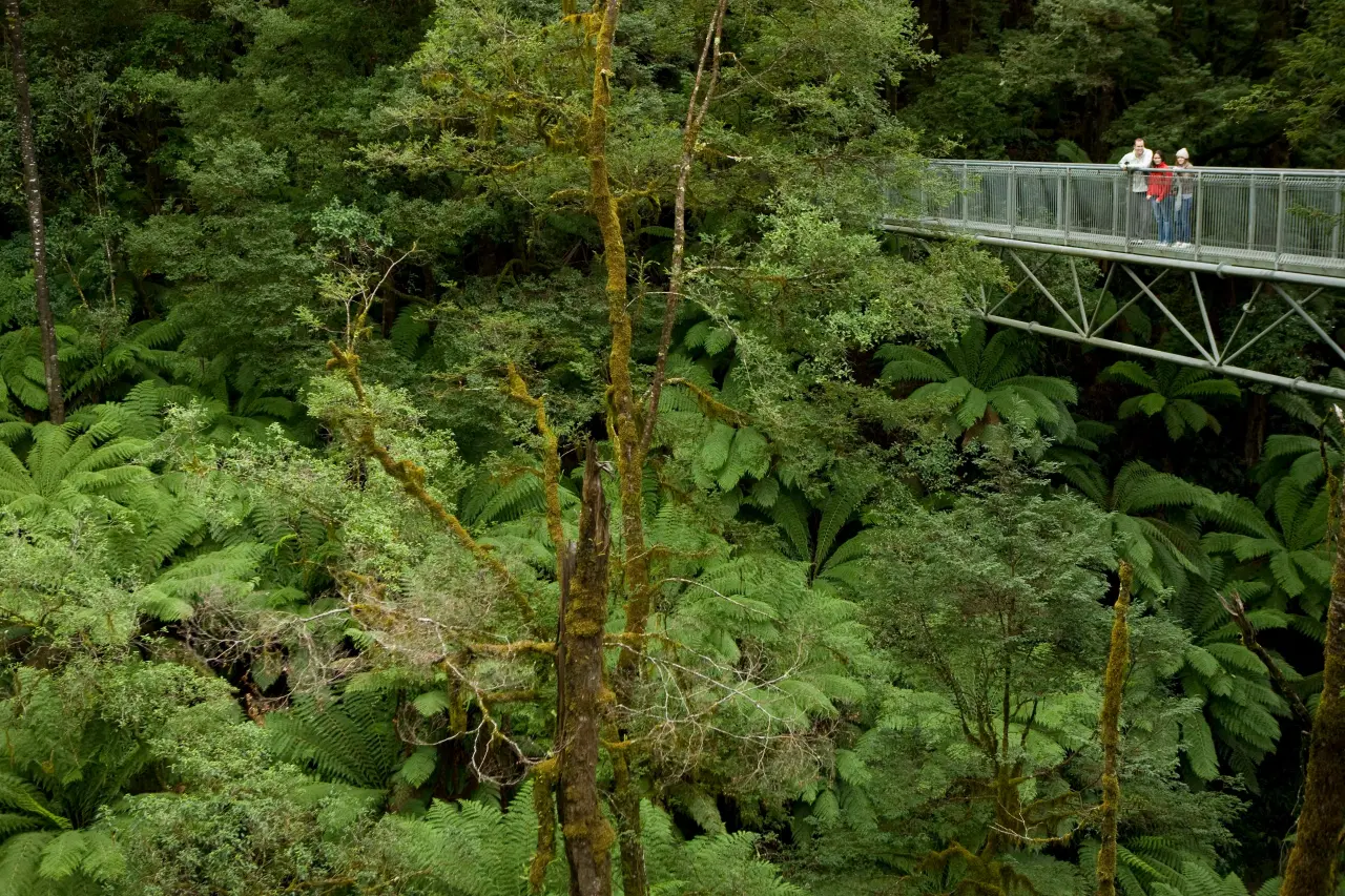 Otway Fly Treetop Adventures tickets