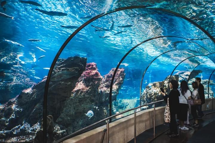l-aquarium barcelona.jpg