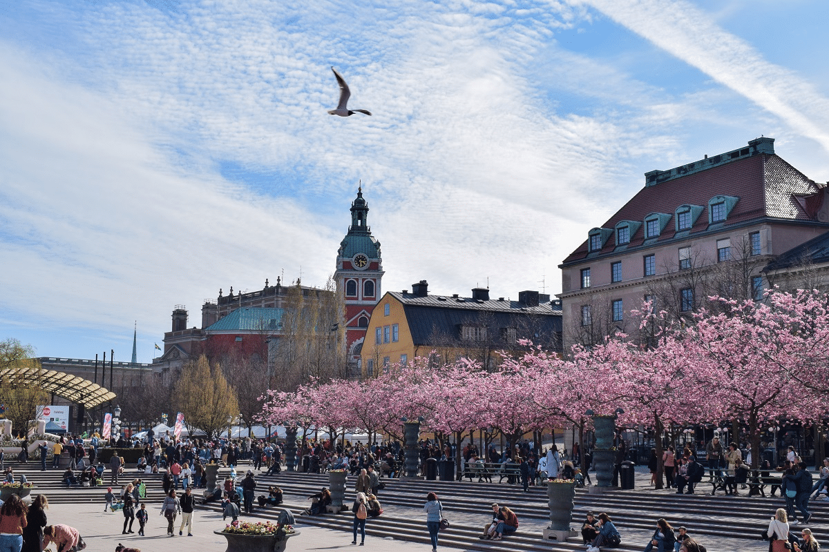 Kungstradgarden Overview