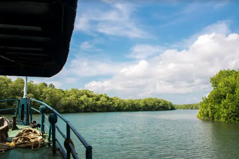 Experience the Serene Waterfront Views