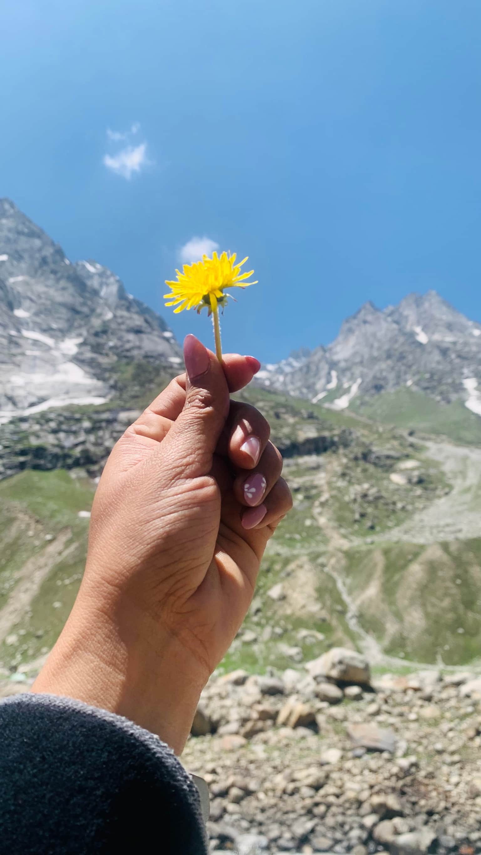 Photo from Jignasha vinjuda's trip