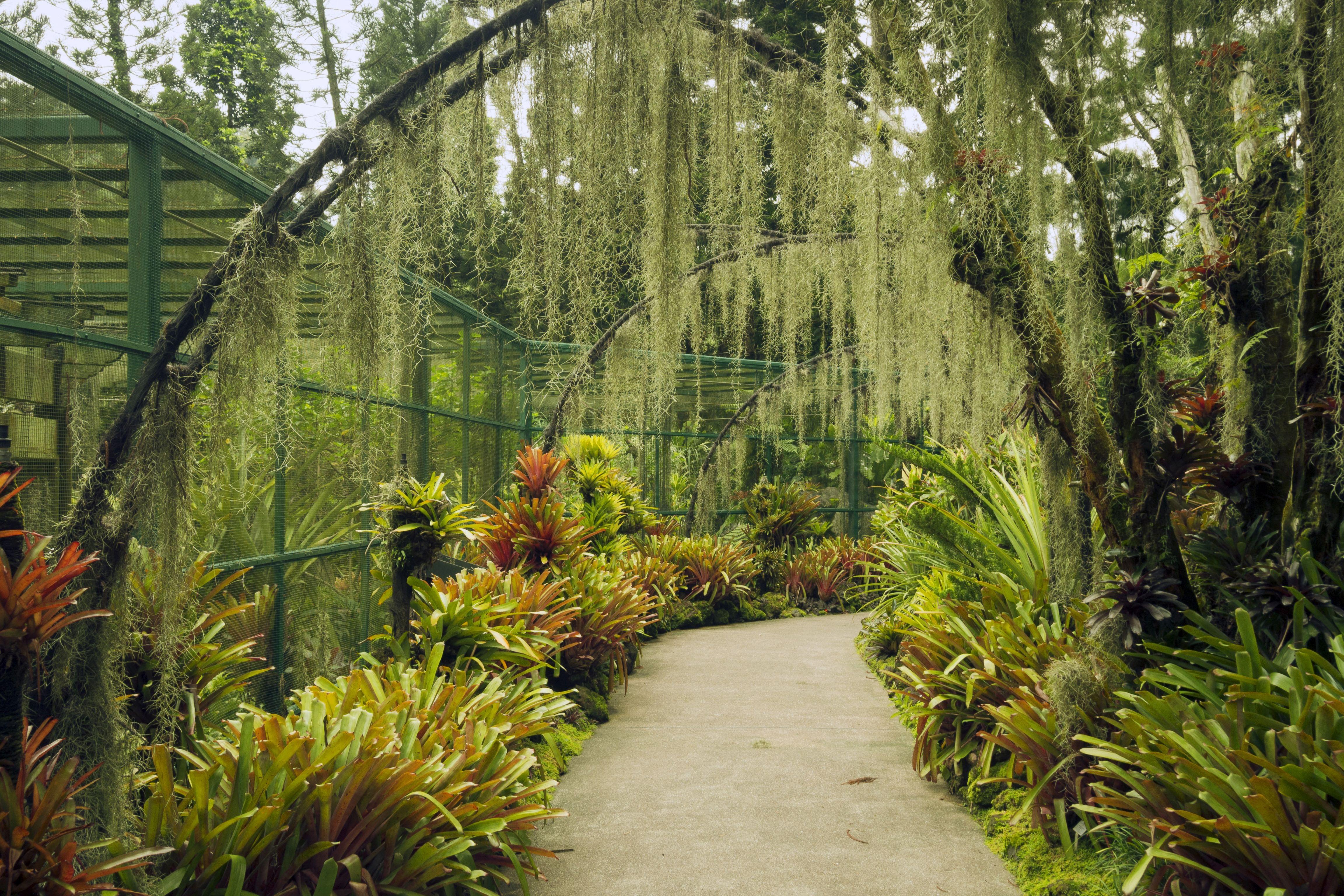 National Orchid Garden