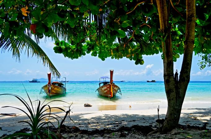 Phi Phi Island Tour