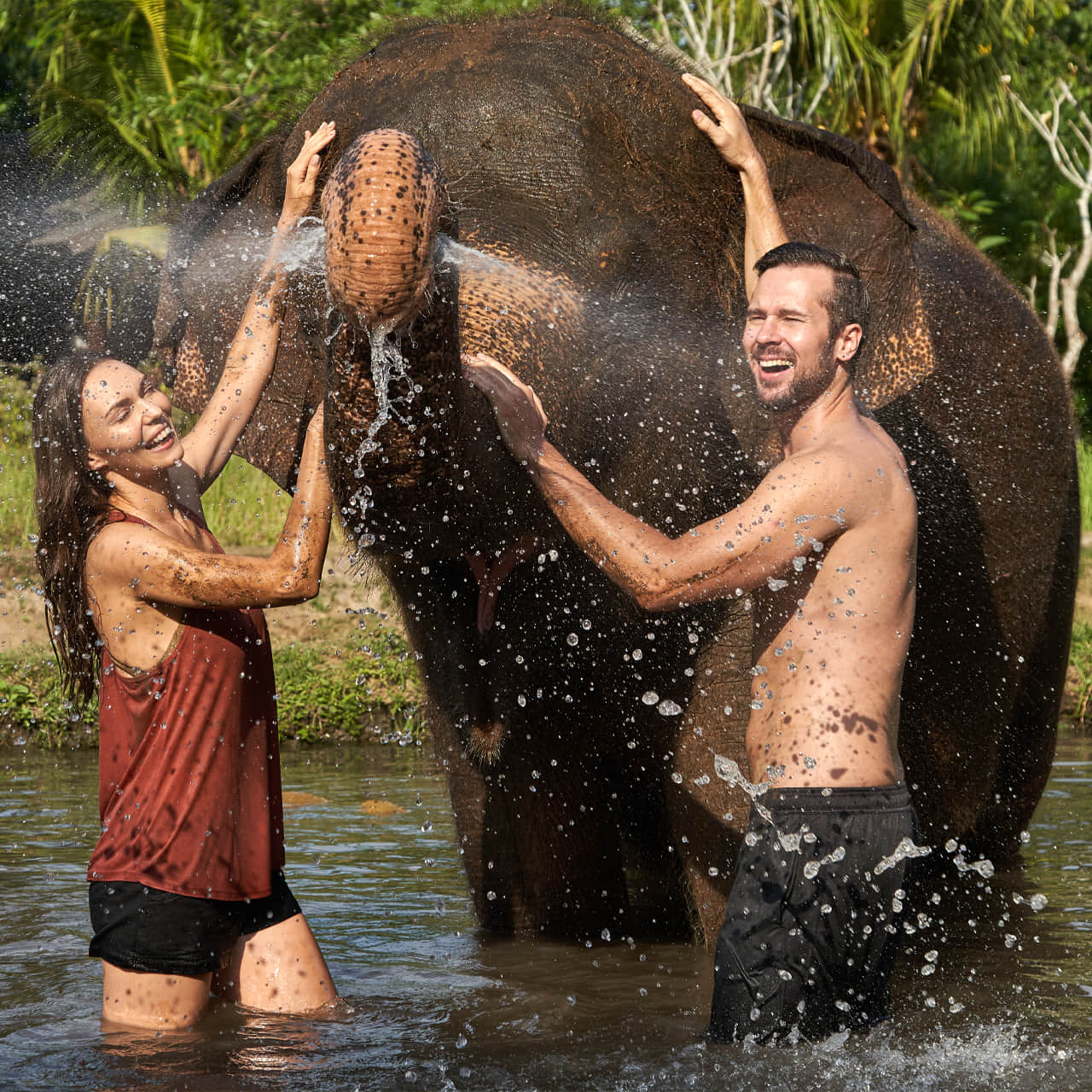 Elephant Mud Bath and Expedition: