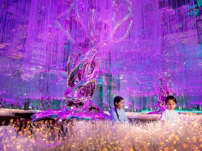 Watch as children's faces light up with joy with the captivating installations at AYA Universe