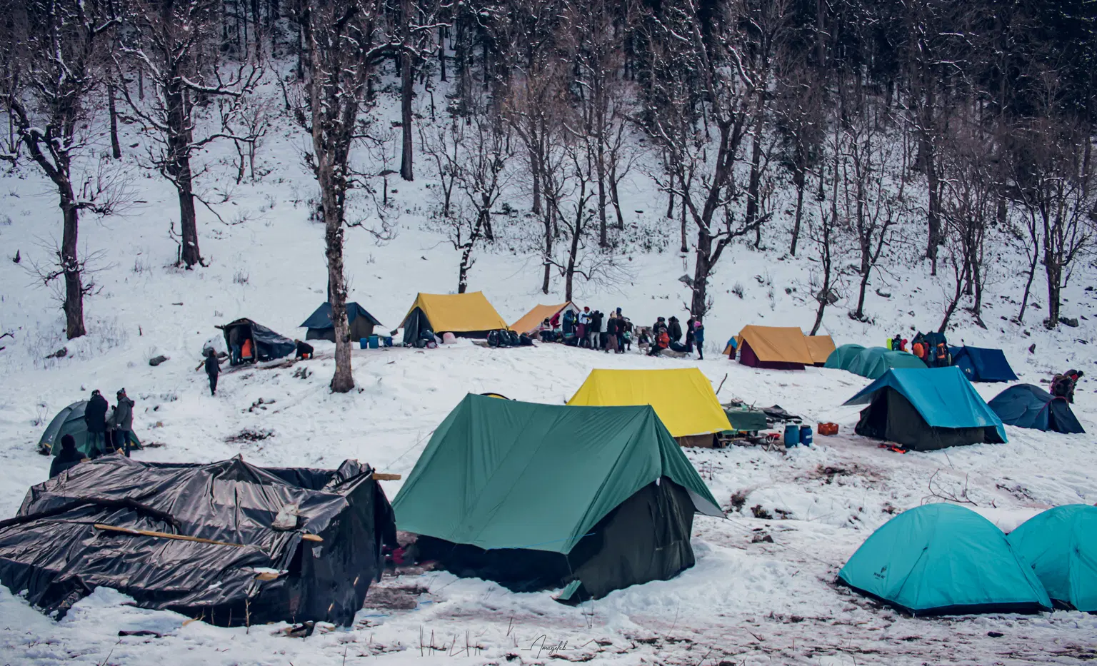 Camping in Uttarkashi