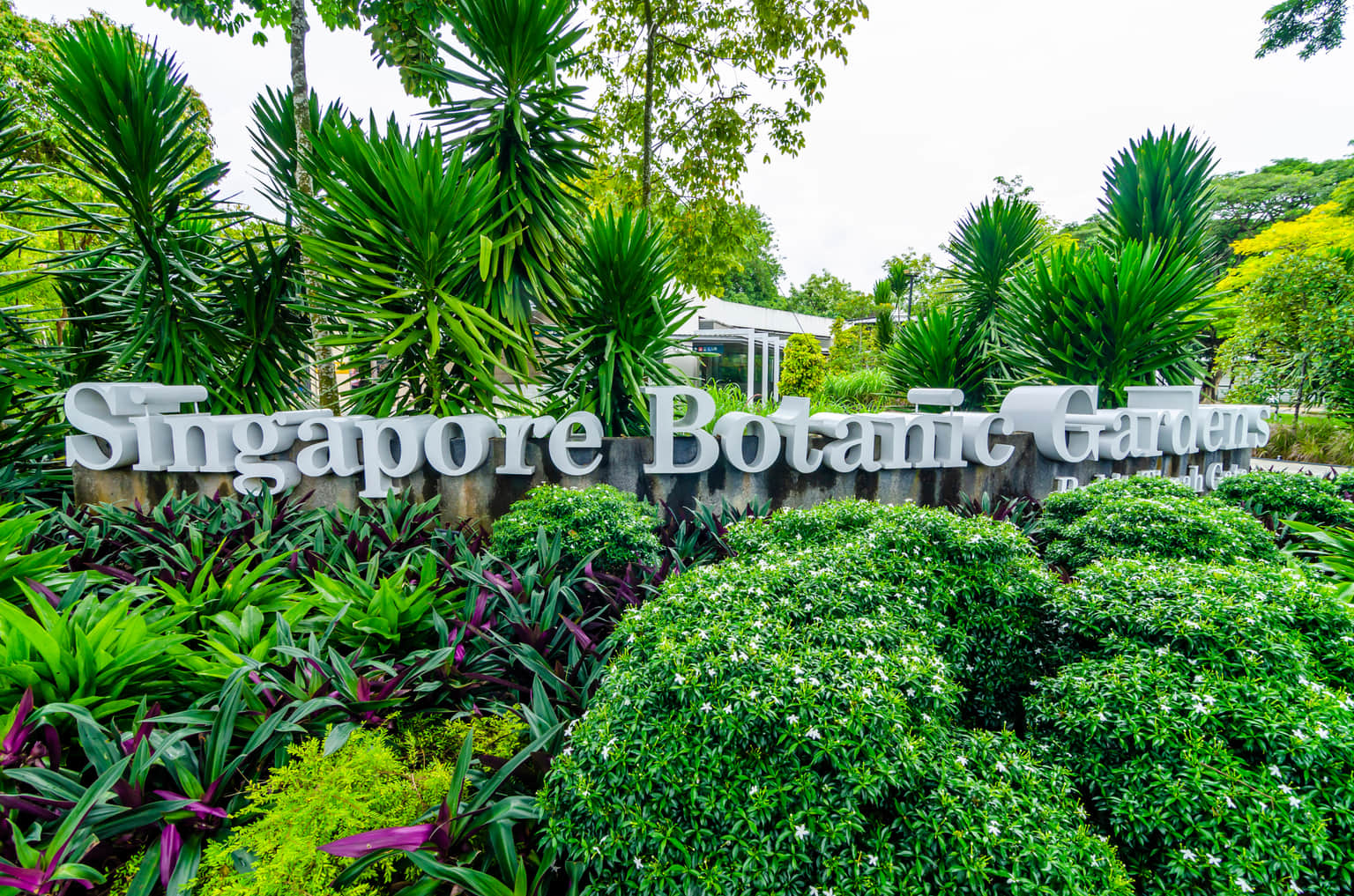Singapore Botanic Gardens, <em>Singapore</em>