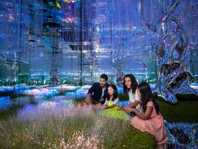 Marvel at the bioluminescent garden at the Flora attraction