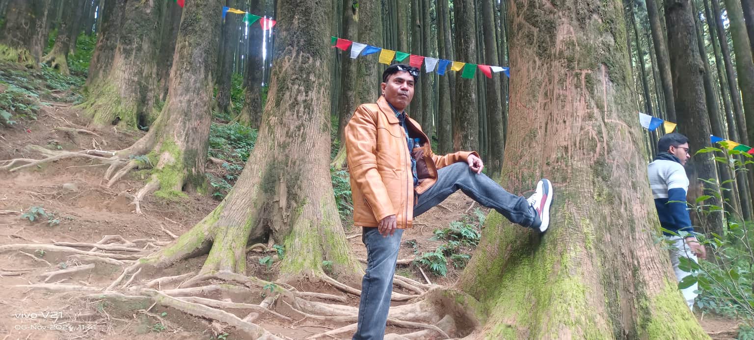 Traveller photo