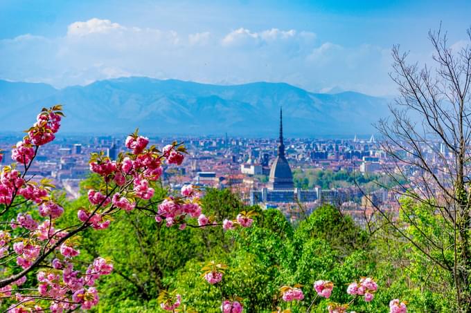 turin in spring.jpg