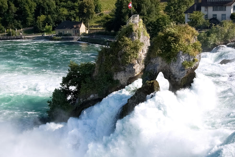 Half Day Tour to Rhine Falls from Zurich Image