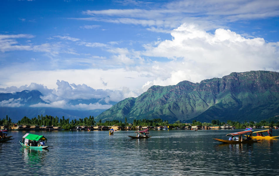 Shikara Ride on Dal Lake in Srinagar Image