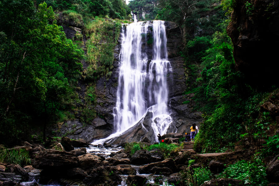 4 Days Chikmagalur Package from Bangalore Image