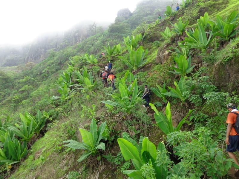 Mahuli Fort Trek Image