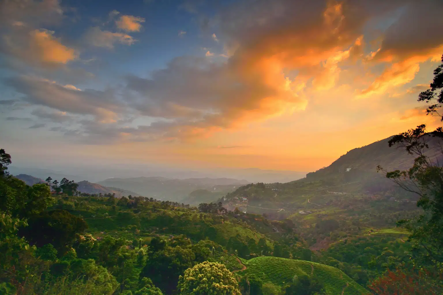 Ooty And Coonor Sightseeing Tour