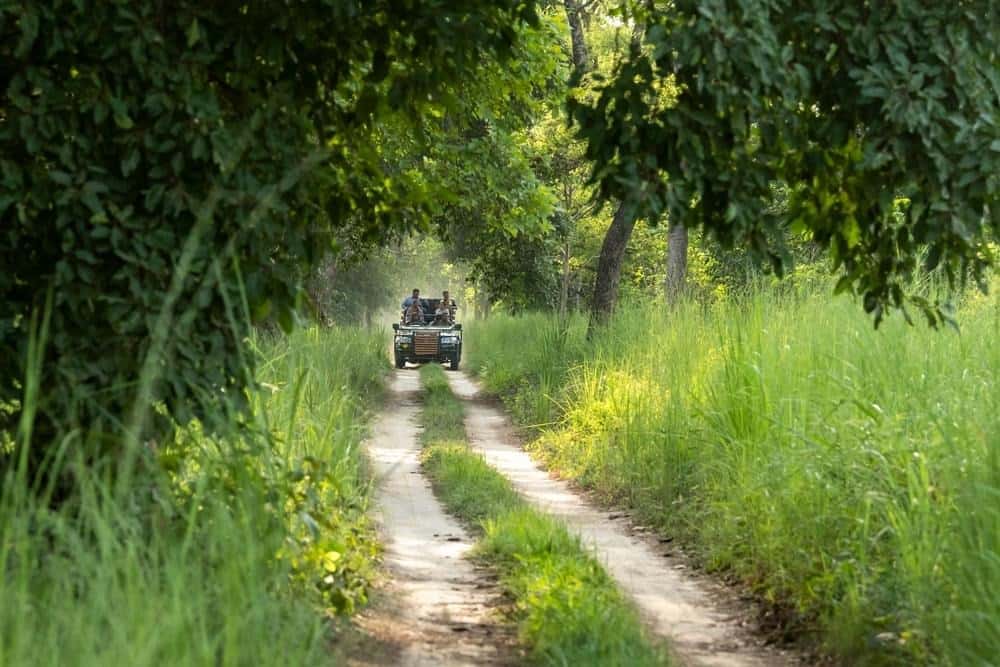 Jeep Ride in Thekkady With Visit to Grape Vineyard