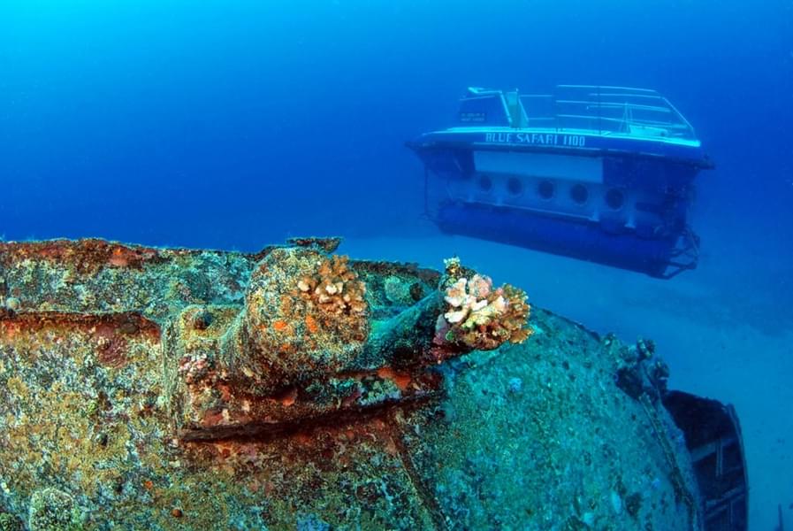 35 Meter Submarine Dive in the Indian Ocean Image