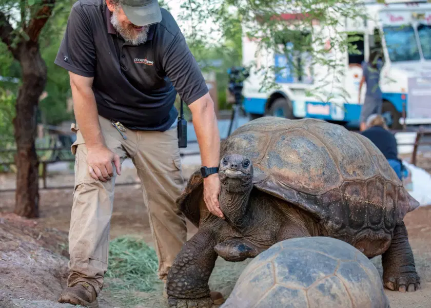 Phoenix Zoo Tickets, USA Image
