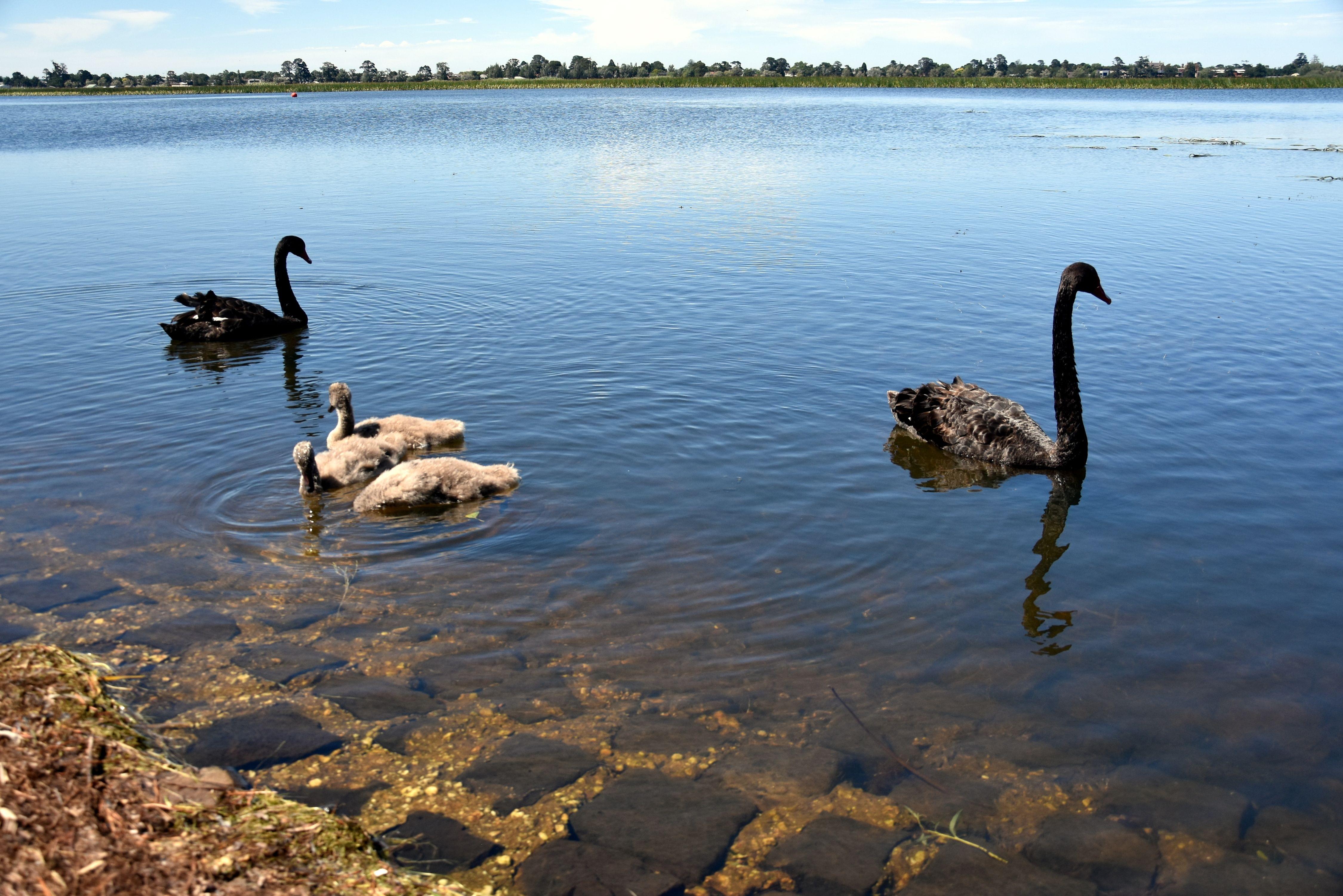 Ballarat Wildlife Park