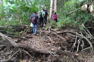 Ypgw2oz4gm8y1g0b7iwklqkwuex3 trekking to saddle peak national park at diglipur enhanced