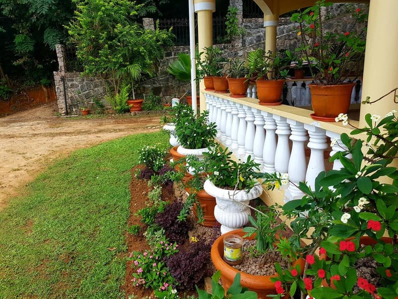 Sea Breeze Guest House Seychelles Image