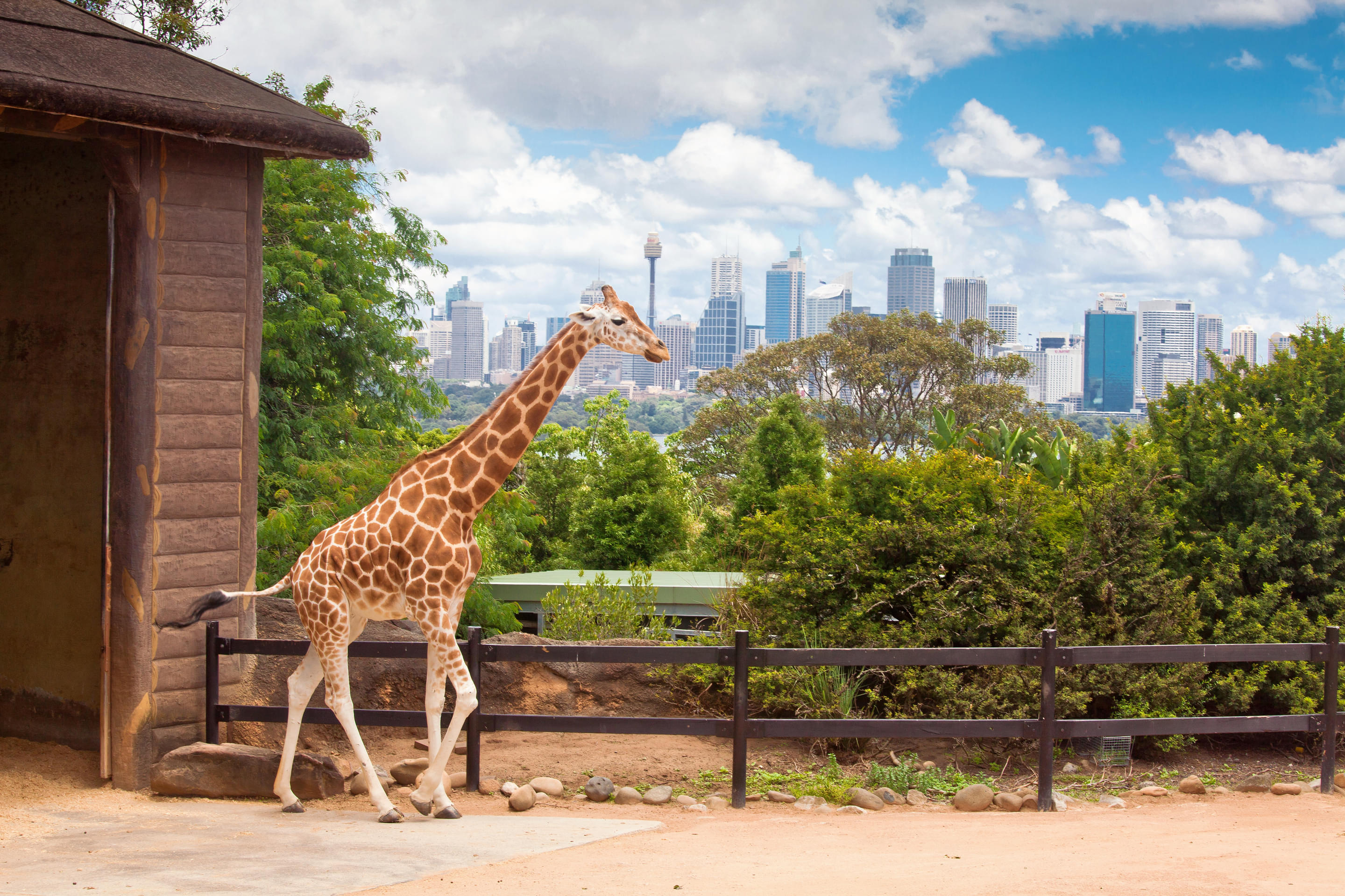 Australia Zoo Overview