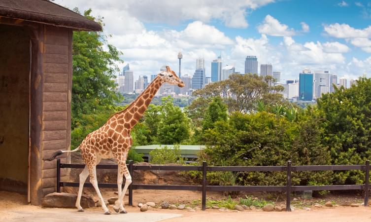 Australia Zoo