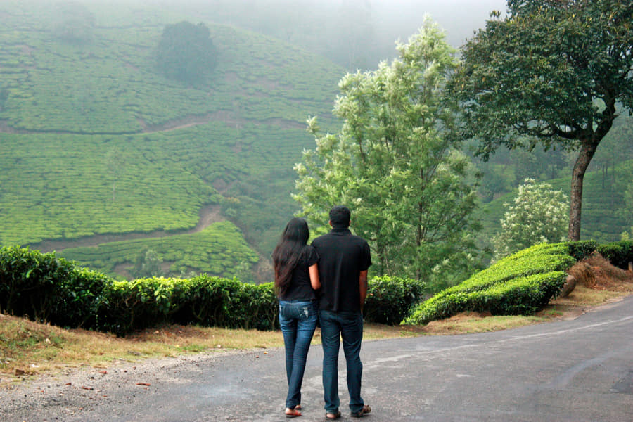 Romantic tour of Gangtok Pelling and Darjeeling | FREE Skywalk Tour Image