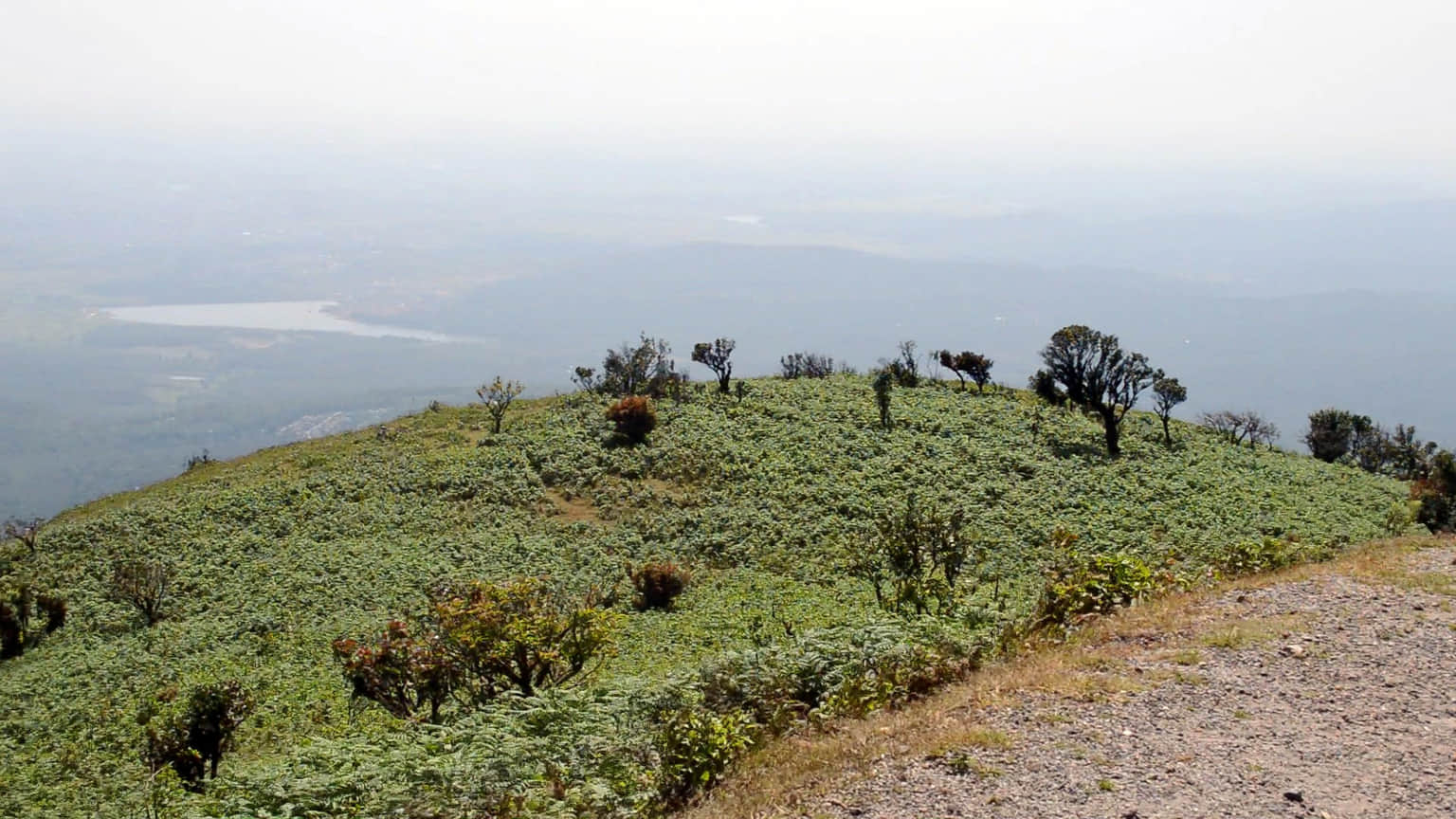 Photo from Sheela Joshi's trip