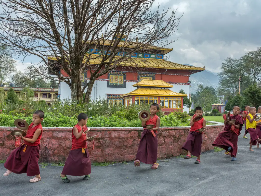 Mesmerising Gurudongmarg Lake with Gangtok and Darjeeling | FREE Yak Ride