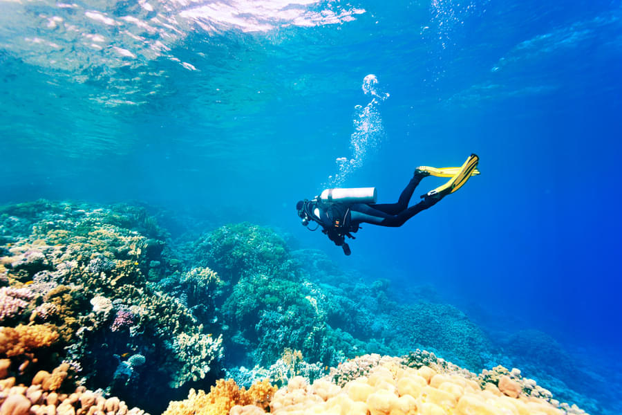 Dive under water and make memories that would last you a lifetime. 