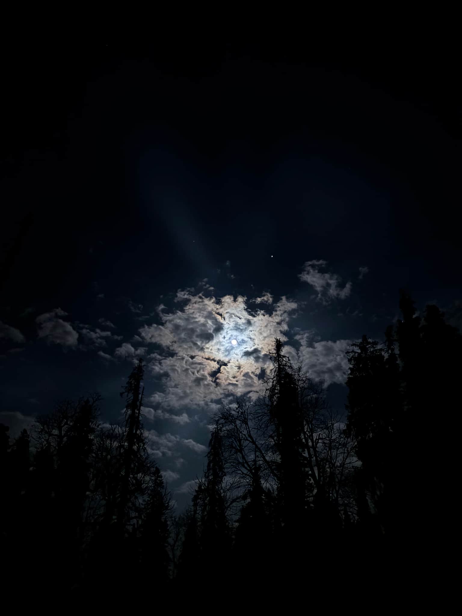 Photo from MAYUR BORSE's trip
