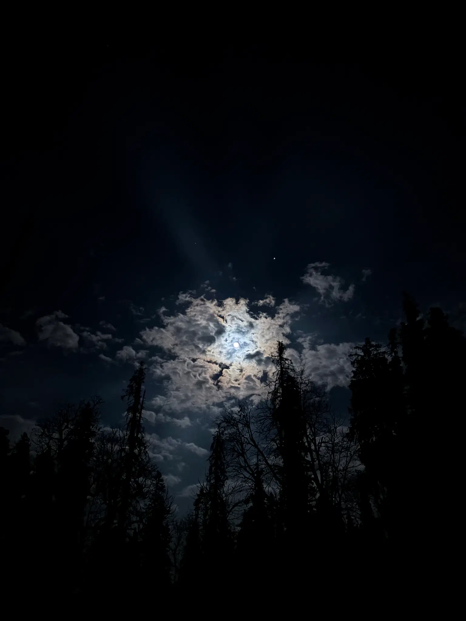Photo from MAYUR BORSE's trip